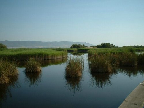 PN Las Tablas de Daimiel, Ciudad Real
